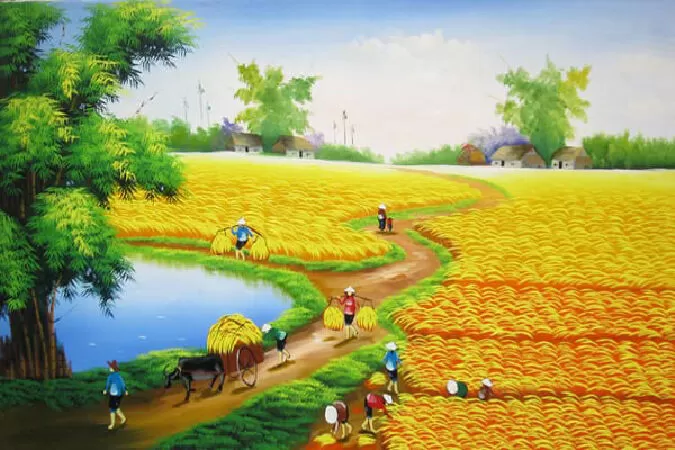 Bài văn tả cánh đồng - 2