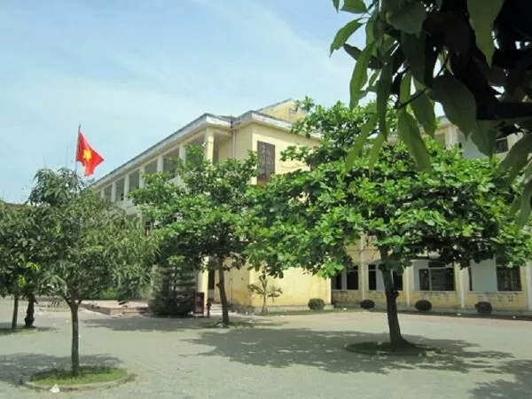 Top 10 đoạn văn tả cây bàng hay nhất lớp 3