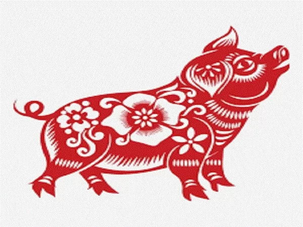 Tuổi Hợi