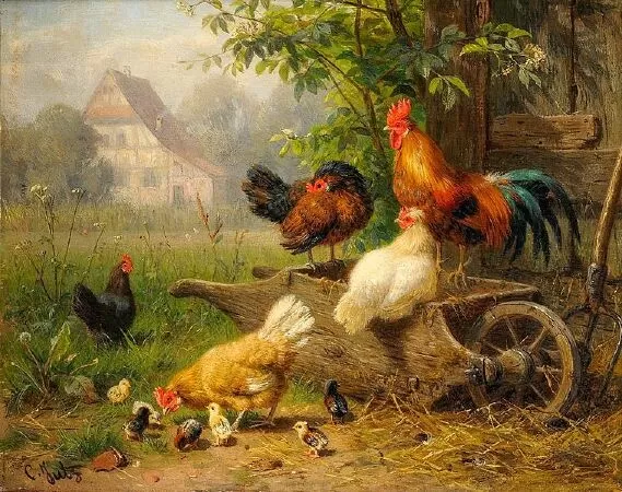 Bài văn mẫu tả con gà - Mẫu số 2