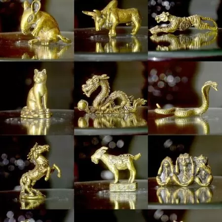 Tuổi Hợi
