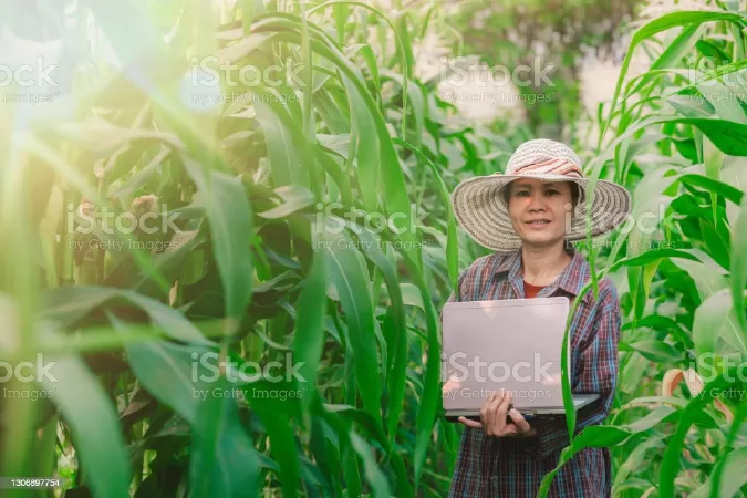 Nông nghiệp hữu cơ
