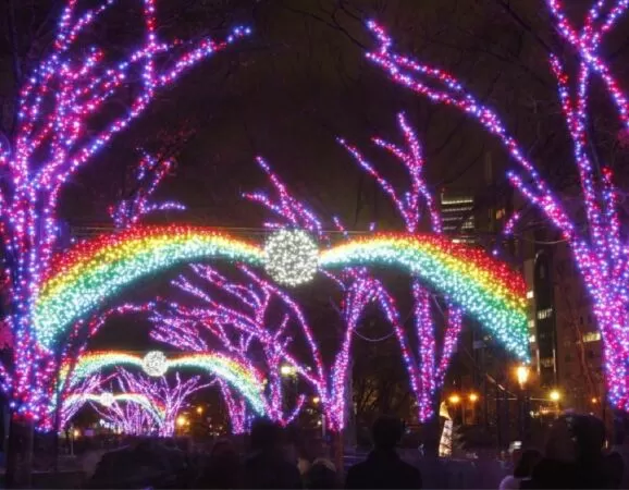 Lễ hội Ánh sáng mùa đông Osaka, Nhật bản