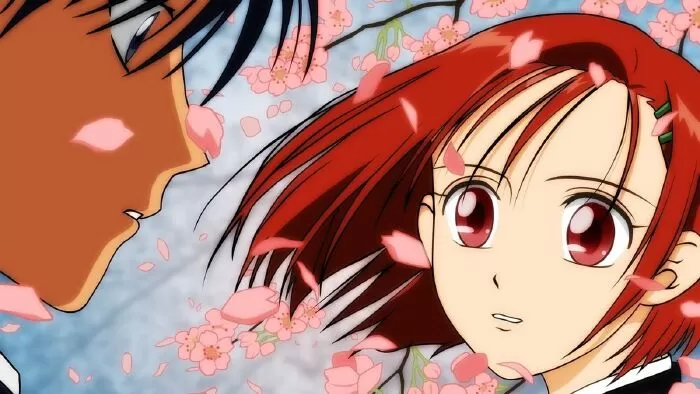 His and Her Circumstances (Kare Kano)