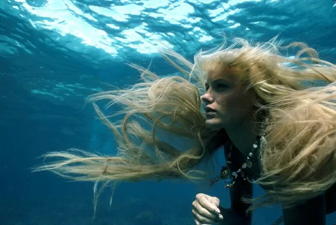 Splash