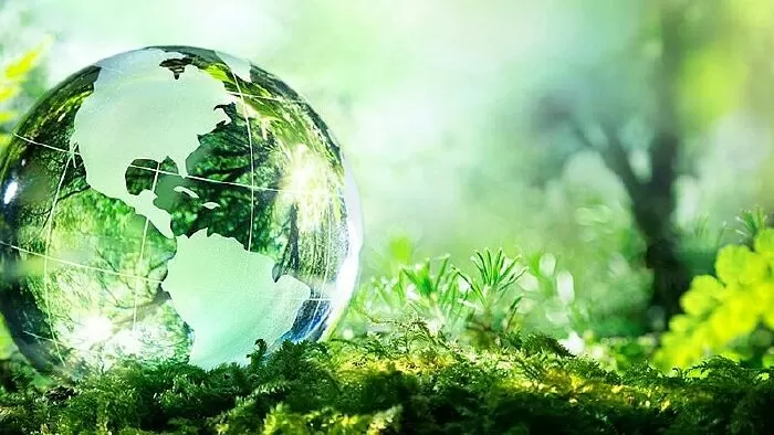 Đoạn văn kể việc làm bảo vệ môi trường - mẫu 10