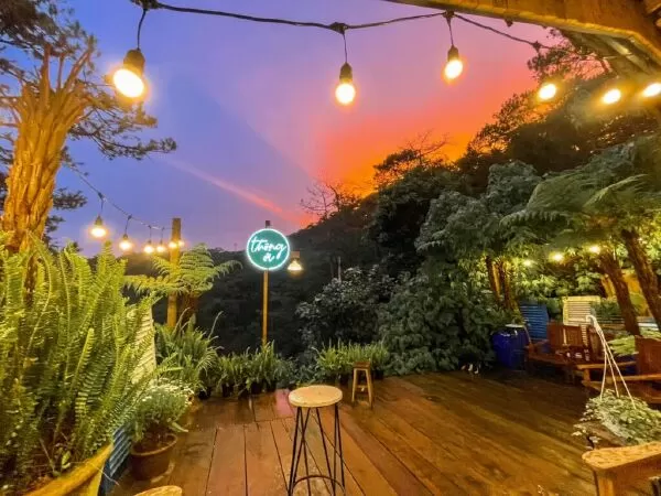 Thông ơi coffee