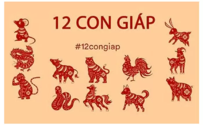 Tuổi Tý
