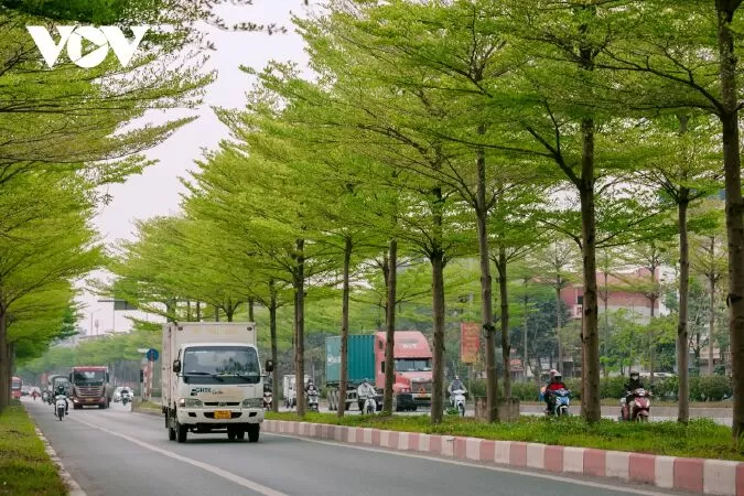 Đoạn Văn Miêu Tả Đường Phố - Mẫu 2