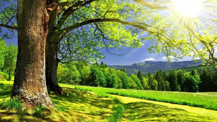 Đoạn Văn Tả Mùa Hè - Mẫu 4