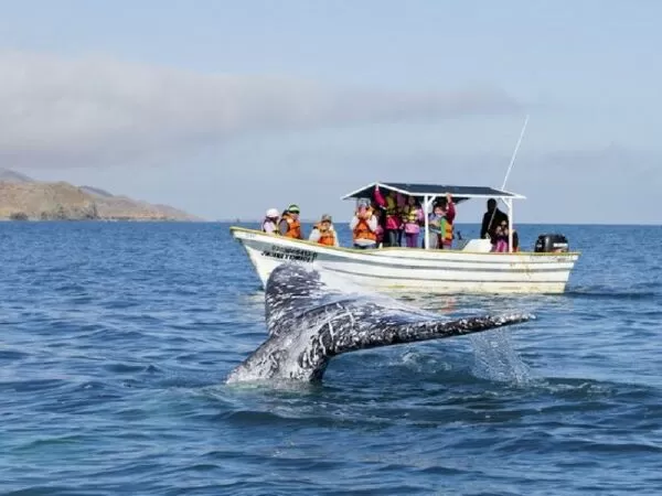 Baja California