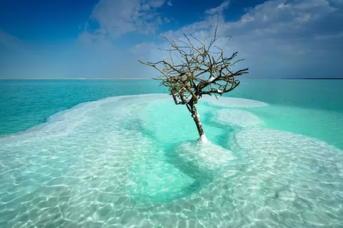 Hồ nước mặn Dead Sea, Israel-Jordan