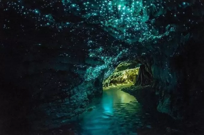 Hang động Waitomo Glowworm, New Zealand