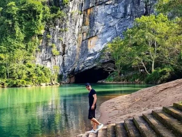 Bài mẫu số 5