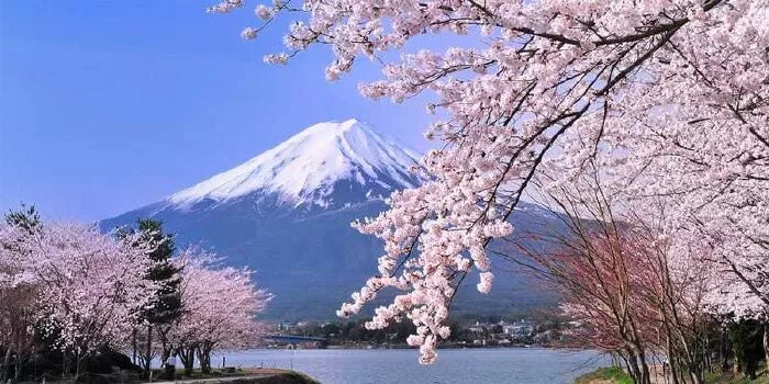 Top 10 Điểm Tham Quan Thơ Mộng Nhất Tại Shizuoka, Nhật Bản