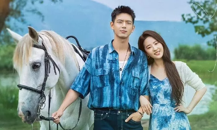 Top 10 bộ phim ý nghĩa nhất mang đến cảm giác nhẹ nhàng và chữa lành tâm hồn người xem