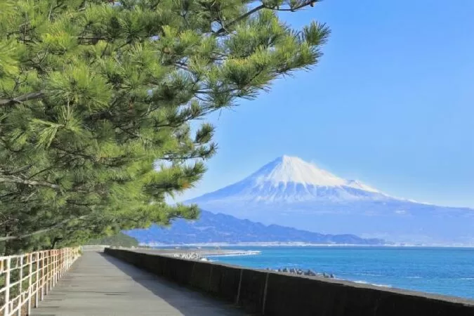 Miho no Matsubara