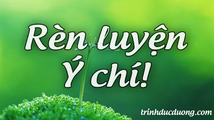 Đoạn văn mẫu 15