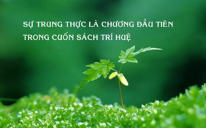 Đoạn văn mẫu bàn về trung thực 5