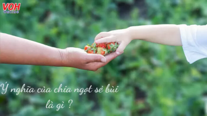 Đoạn văn ngắn về sự sẻ chia 10