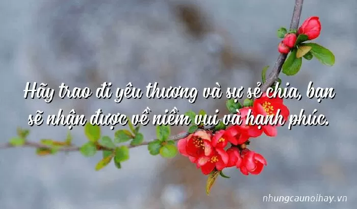 Đoạn văn ngắn về sự sẻ chia 13