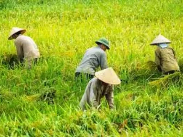 Bài mẫu số 12