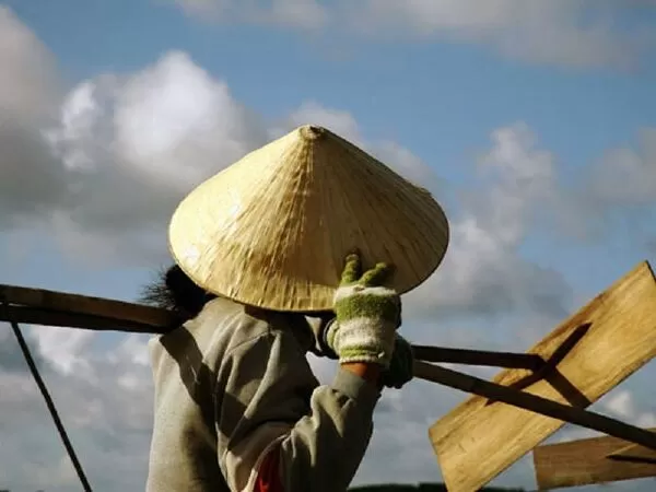 Bài mẫu số 14