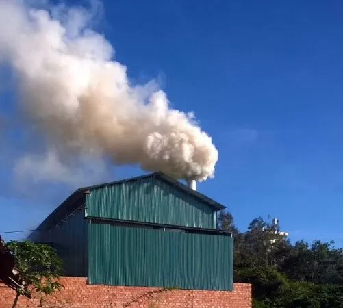 Mẫu 3 - Hãy hành động vì bản thân, vì môi trường, vì cuộc sống hôm nay và tương lai mai sau.
