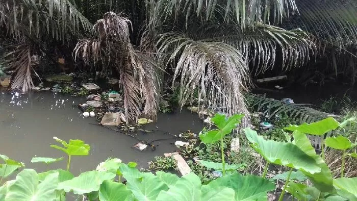 Mẫu 4 - Ô nhiễm môi trường để lại những hậu quả vô cùng nặng nề cho tương lai và cả cho các thế hệ sau này phải gánh chịu chẳng hạn như về vấn đề sức khỏe của con người