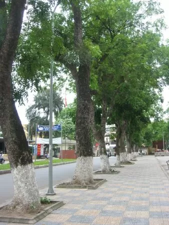 Mẫu số 8