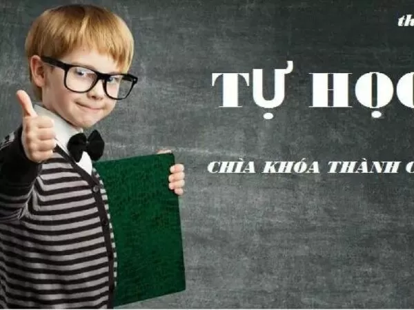 Bài mẫu số 8