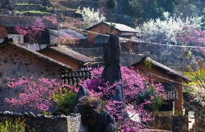 Mẫu 7 - Sapa