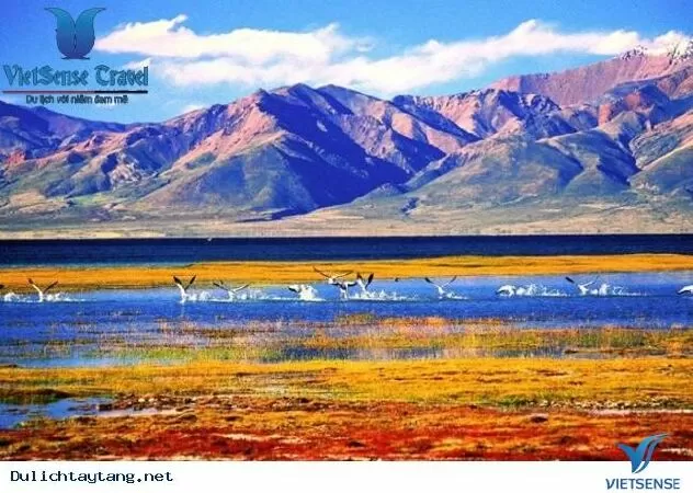 Hồ Manasarovar