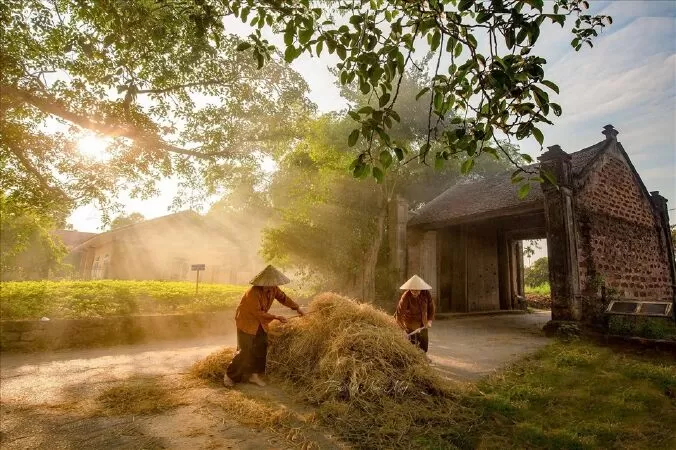 Làng cổ Đường Lâm (Hà Nội)