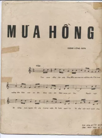Mưa hồng
