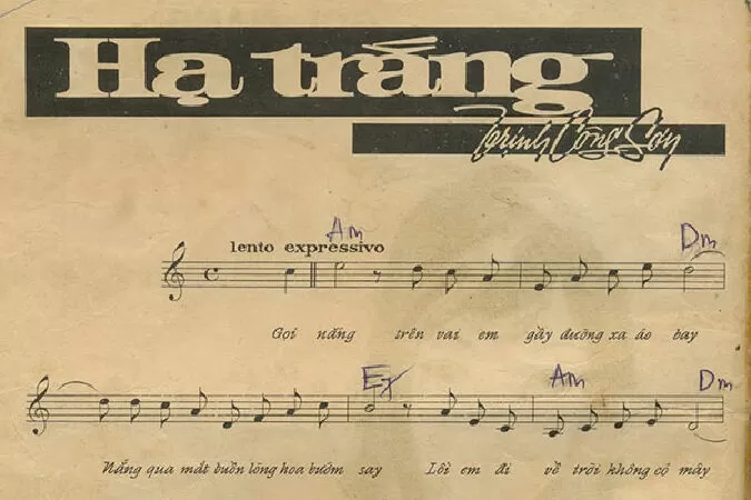 Hạ Trắng