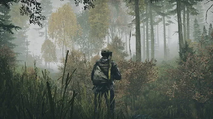 DayZ