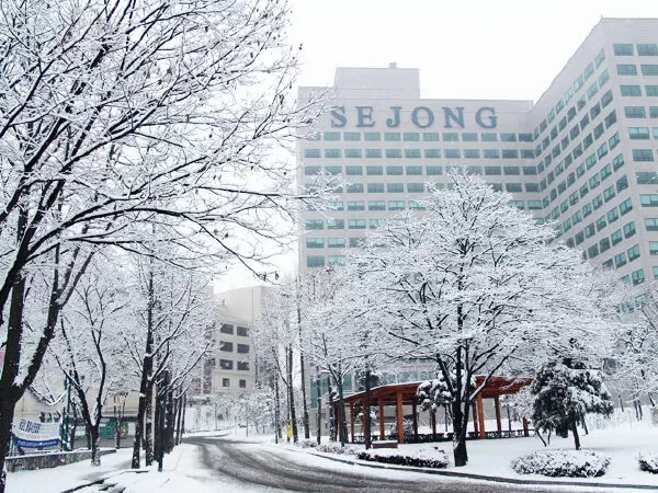 Sejong University