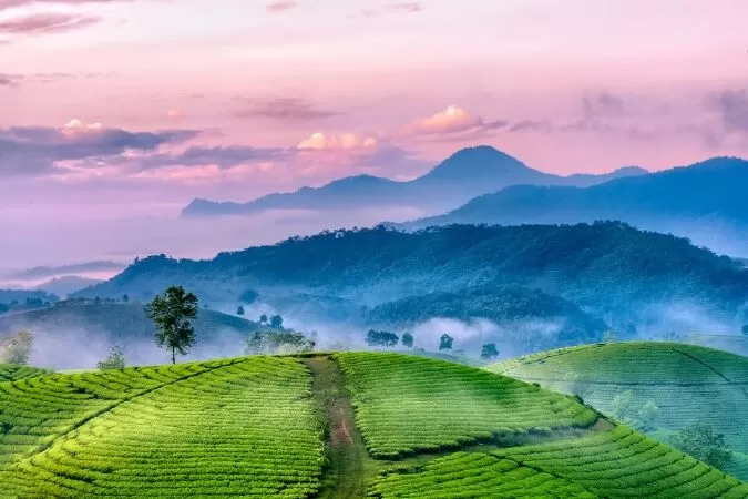 Bài văn mẫu phân tích bài thơ Lai tân - Mẫu số 1