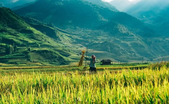 Bài văn mẫu phân tích bài thơ Lai tân - Mẫu số 3