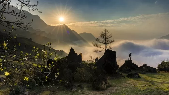 Bài văn mẫu phân tích bài thơ Lai tân - Mẫu số 9