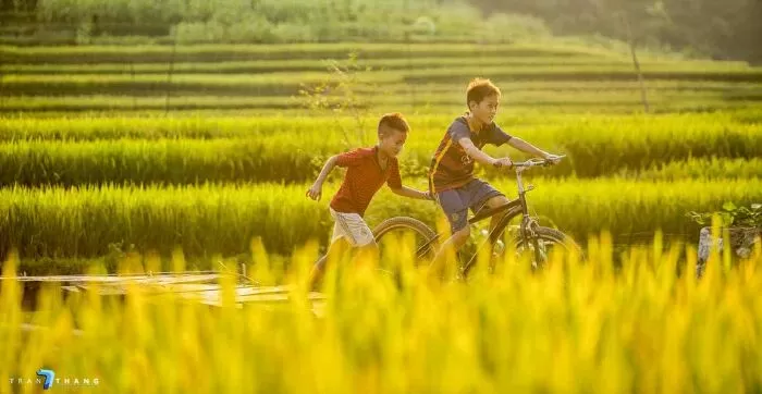 Bài văn mẫu phân tích bài Bầy chim chìa vôi - Mẫu số 3