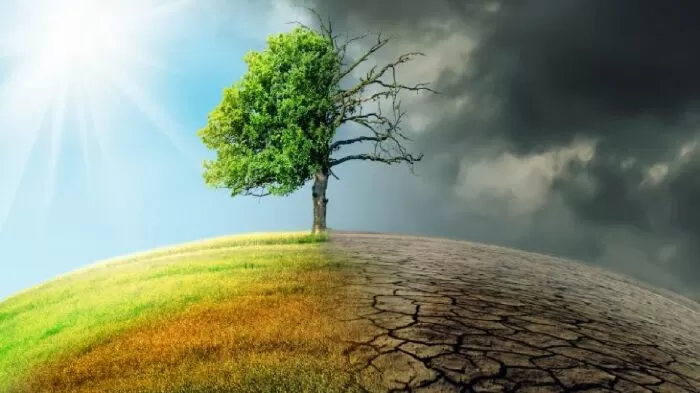 Top 12 bài thuyết minh hay nhất về hiện tượng tự nhiên