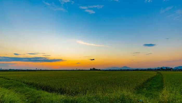 Bài văn mẫu hay phân tích bài thơ Thiên Trường vãn vọng - Mẫu số 10