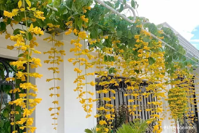 Bài văn hay phân tích tâm trạng nhân vật Thanh - Mẫu số 6