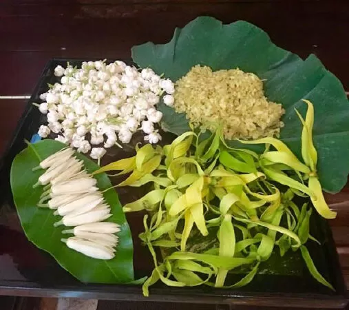 Bài văn hay phân tích tâm trạng nhân vật Thanh - Mẫu số 10