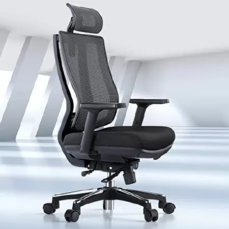 Ghế văn phòng công thái học OdinLake