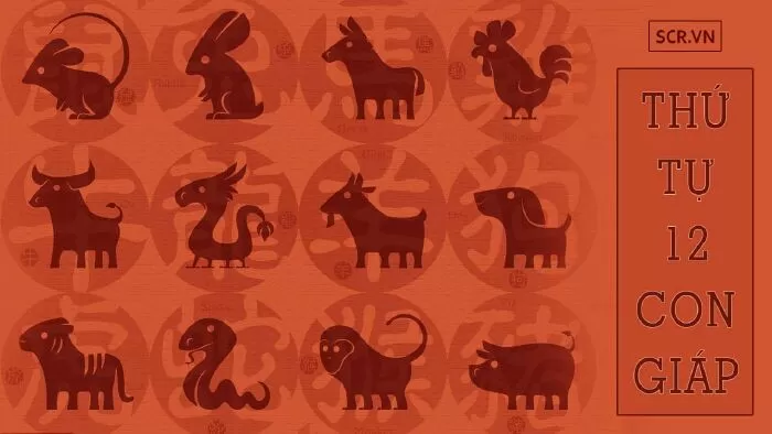 Tuổi Mão