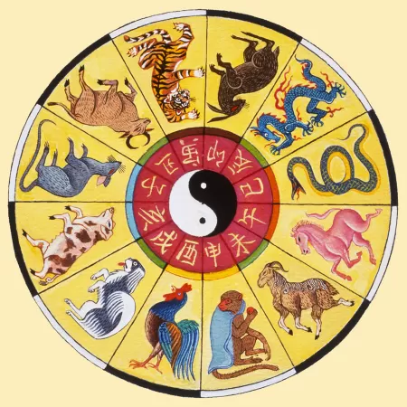 Tuổi Tuất