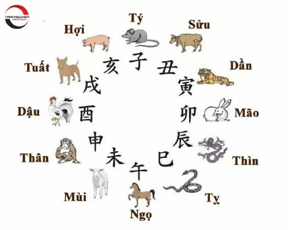 Tuổi Thìn
